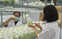 Giúp học sinh THPT chọn ngành nghề phù hợp trong thời kỳ chuyển đổi số