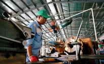 ADB nâng dự báo tăng trưởng kinh tế Việt Nam