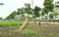 Mua đất 4 năm vẫn không được xây nhà