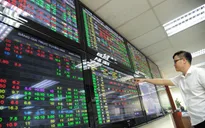 Sắc xanh bao phủ thị trường chứng khoán Việt