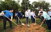 Trồng mới 1.000 cây xanh tại Khu di tích lịch sử Đền Hùng