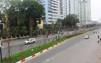 Hà Nội sẽ "tạm biệt" hàng cây phong lá đỏ trên đường Nguyễn Chí Thanh
