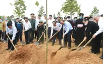 Thủ tướng phê duyệt Đề án trồng 1 tỷ cây xanh