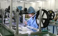 Doanh nghiệp “đỏ mắt” tìm lao động tầm trung