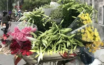 "Nữ hoàng tháng 4" ồ ạt xuống phố, tiểu thương lãi tiền triệu mỗi ngày