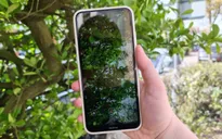 Nokia ra mắt 6 smartphone mới, định hình lại đối tượng khách hàng