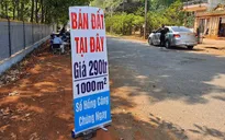Dự báo bất ngờ: Đất sẽ ngừng "sốt", có nơi giảm giá, bán cắt lỗ