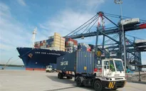 Đề xuất tăng giá dịch vụ bốc dỡ container tại cảng biển