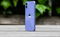 iPhone 12 “tím thuỷ chung” lên kệ tại Việt Nam