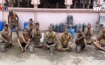 Nhiều người Ấn Độ sử dụng chất thải bò chống COVID-19