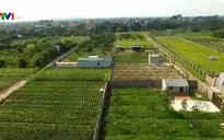 Khẩn trương làm rõ bất thường trong dồn điền đổi thửa tại Chương Mỹ, Hà Nội