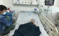 Rắn lục đuôi đỏ cắn, bé trai 20 tháng tuổi bị rối loạn đông máu nặng