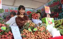 Vải thiều Thanh Hà lên sàn thương mại điện tử, giao hàng trong 4 giờ