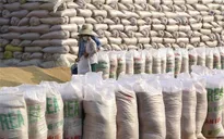 Vietnam would continue to be world’s second largest rice exporter: US department
