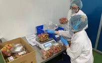 Sàn thương mại điện tử - Kênh tiêu thụ mới cho nông sản