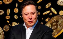 Elon Musk kéo Bitcoin lên gần 40.000 USD chỉ sau một dòng tweet