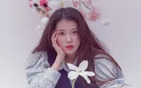 IU tặng 500 triệu won cho những người có hoàn cảnh khó khăn trong ngày sinh nhật