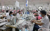 Cần kiến tạo lại môi trường kinh doanh