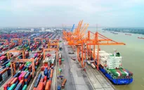 Đề xuất tăng mức phạt hành vi không công khai giá dịch vụ tại cảng biển