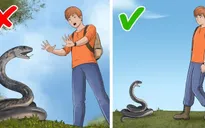 10 trường hợp nguy cấp mà phần lớn chúng ta đều xử lý sai