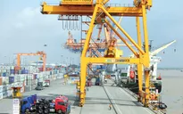 Đề xuất tăng cao hơn nữa mức phạt tự ý tăng giá, phụ thu dịch vụ cảng biển