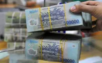 Tín dụng trên địa bàn TP Hồ Chí Minh ước tăng gấp đôi cùng kỳ