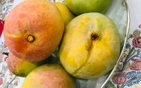 Loại quả từng rất đắt đỏ giờ có giá rẻ "giật mình"