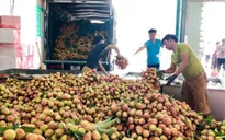Bộ Công Thương hỗ trợ Bắc Giang đẩy mạnh tiêu thụ nông sản