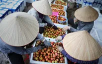 "Xắn tay" cùng Bắc Giang "vượt bão" COVID-19