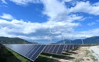 Thủ tướng yêu cầu kiểm tra ngay phản ánh về việc nhà đầu tư điện gió kêu cứu