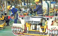 Nỗ lực "giữ lửa" kết nối doanh nghiệp Việt Nam - Bỉ mở rộng đầu tư