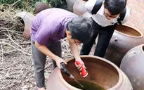 Đồng Nai: Số ca mắc sốt xuất huyết tăng gần 50% so với cùng kỳ