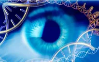Liệu pháp gene từ tảo giúp người khiếm thị khôi phục một phần thị lực