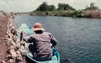 Hiệu quả từ mô hình nuôi tôm trong rừng ngập mặn ở ĐBSCL