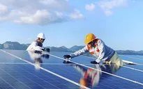 Các dự án điện năng lượng tái tạo sẽ tiếp tục bị cắt giảm công suất