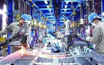 PMI ngành sản xuất cao nhất kể từ tháng 11/2018