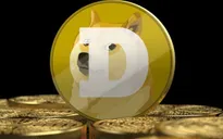Dogecoin tăng giá "điên đảo"