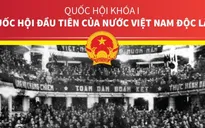 Quốc hội khóa I và dấu ấn của 333 đại biểu Quốc hội đầu tiên