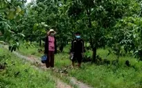 Hai vợ chồng nhập cảnh trái phép, 1 người dương tính với SARS-CoV-2