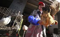 Trung Quốc phát hiện ca mắc cúm gia cầm H10N3 ở người đầu tiên trên thế giới