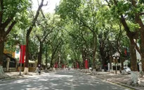 Bắc Bộ trời nắng trước khi đón không khí lạnh