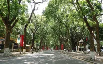 Cả nước nắng đẹp trong ngày Tết ông Công, ông Táo