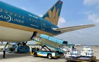 Vải thiều Bắc Giang "ngồi" siêu máy bay vào TP Hồ Chí Minh