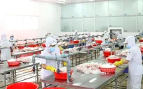 Gần 10.000 doanh nghiệp TP Hồ Chí Minh đóng cửa vì COVID-19