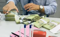 5 tháng, thoái vốn nhà nước đạt hơn 286 tỷ đồng