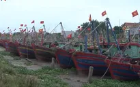 Thái Bình, Nam Định kêu gọi tàu thuyền vào nơi tránh trú bão số 2