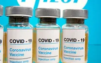 Bộ Y tế phê duyệt vaccine phòng COVID-19 Cominarty của Pfizer/BioNTech