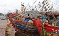 Các địa phương chủ động phòng, chống bão số 2