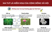 [Infographic] Ma túy - tàn phá sức khỏe, hiểm họa xã hội