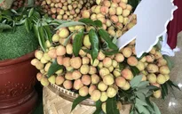 Nhà bán nông sản tính "đường dài" trên thương mại điện tử